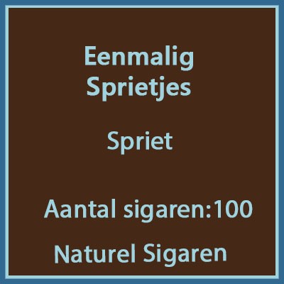 Eenmalig voordeelverpakking sprietjes 100 st.