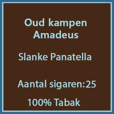 Oud kampen Amadeus 25 st.