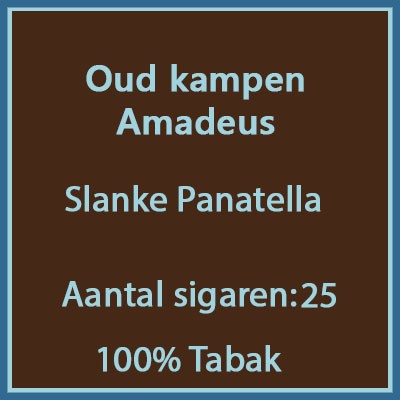 Oud kampen Amadeus 25 st.